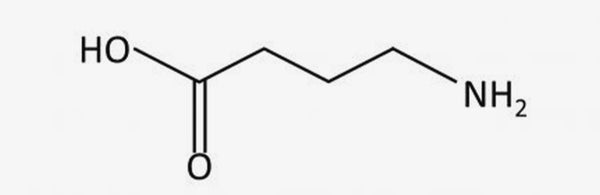 how Jasmine effects GABA Levels