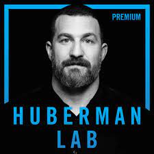 huberman podcast.jpeg__PID:d1fc8d98-58bc-454f-a3b2-eac6a3b59385