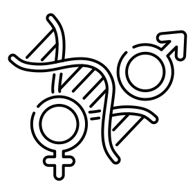 Illustration Hormone