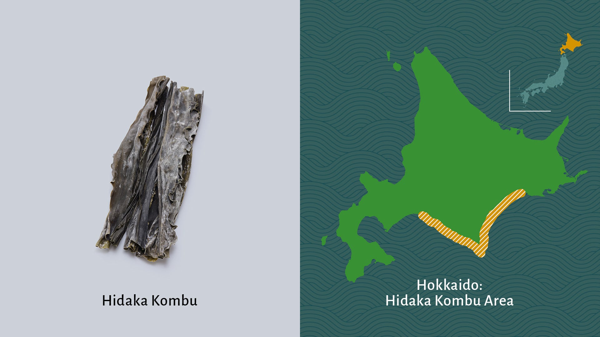 Hidaka Kombu and map of origin