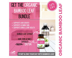 Bamboo Leaf Bundle