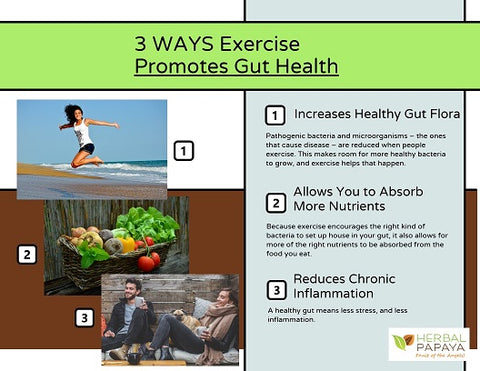 Exercise and Gut Health