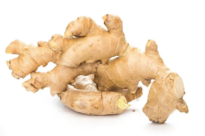 The Power of Herbalism: Embracing Natural Remedies for Wellness