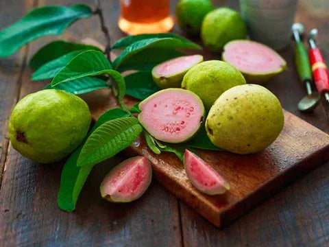 What are the beneficial uses of guava leaf tea bags