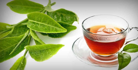 Is it safe to use guava leaf tea for pregnant women