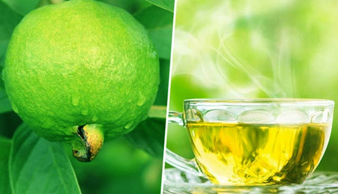 guava leaf tea benefits