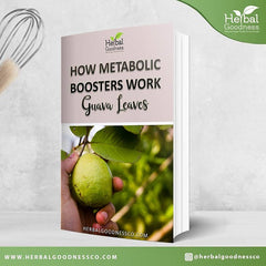 How Metabolic Boosters Work