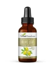 Olive Leaf Extract Liquid - 15X Strength - Herbal Goodness