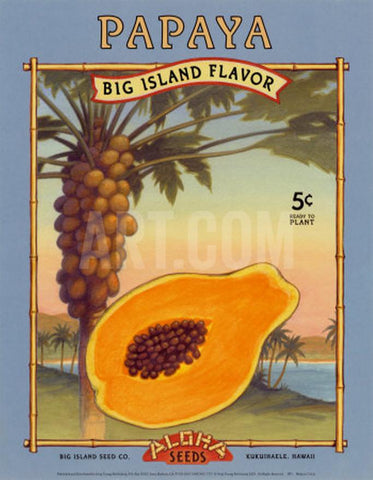 Retro Papaya Print