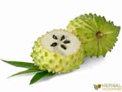 soursop leaf extract