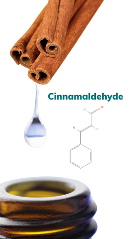 A picture of a droplet coming off of a cinnamon stick going into an amber glass bottle with a diagram of cinnamaldehyde next to it