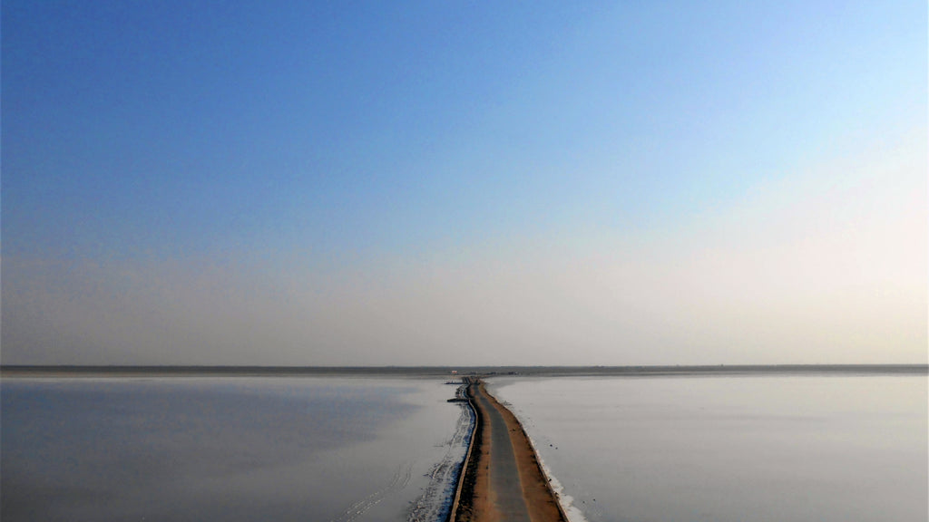 paromatravels.com_blog_Rann_of_Kutch_Witness_the_White_Desert_Festival_in_Gujarat_1