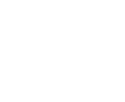 Fox_News_II
