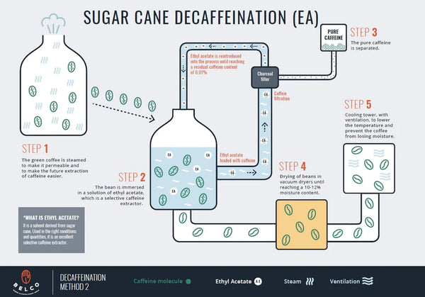 Sugarcane Decaf Process