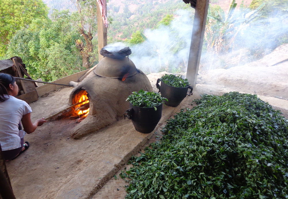 Teereise nach Myanmar