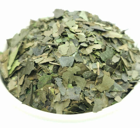 Guayusa Tee Blätter Feinschnitt