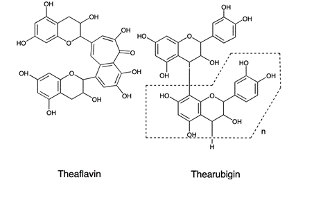 Theaflavin und Thearubigin