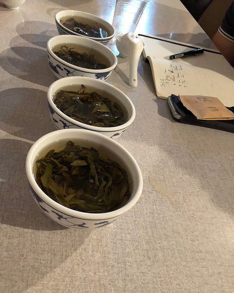 Pu Er Degustation