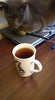 Mug of Black Tea with Grey Cat