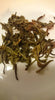 Brewed leaves of Kekecha Golden Dragon Yellow Tea