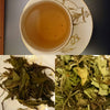 montage of paimutan tea in china cup and leaves