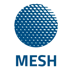 Mesh