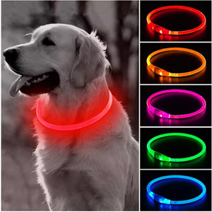 Led Light Rechargeable Detachable Glowing Luminous  Dog And Cat Collar - Chic Joya