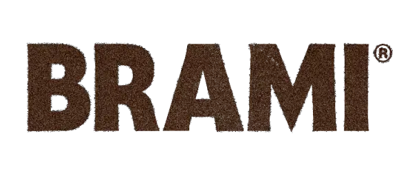 BRAMI Logo