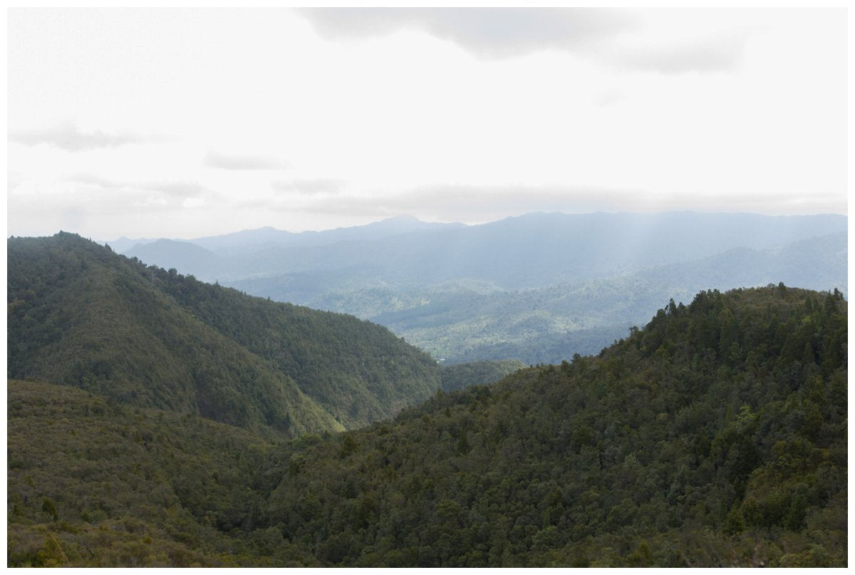 The Pinnacles