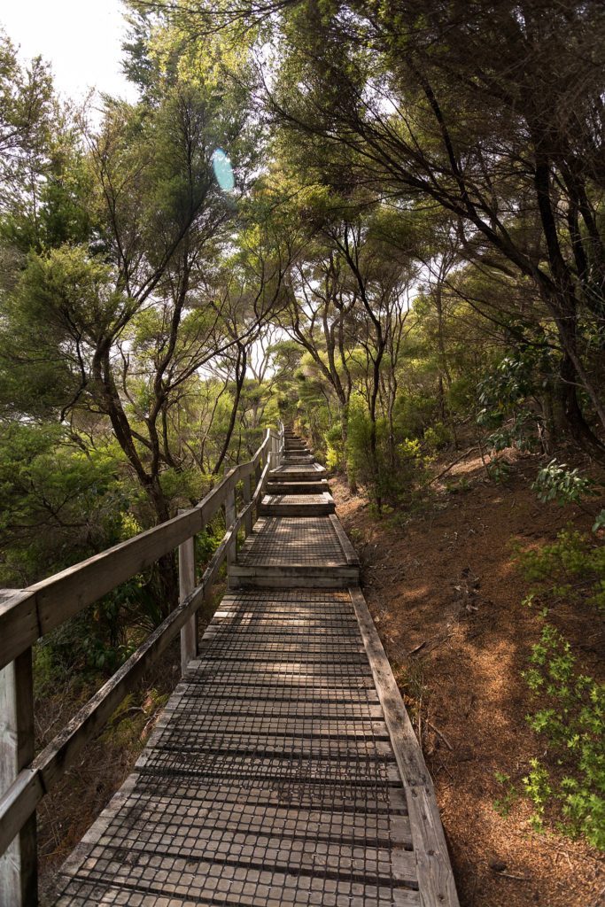 Rangitoto Island