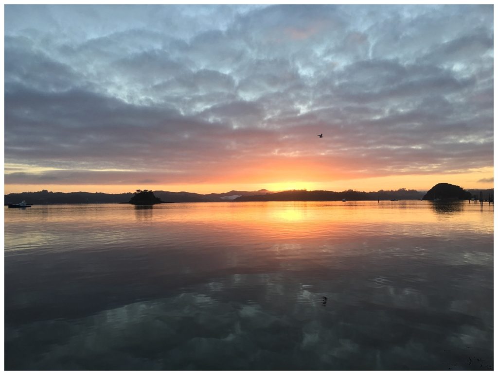 Paihia Sunrise