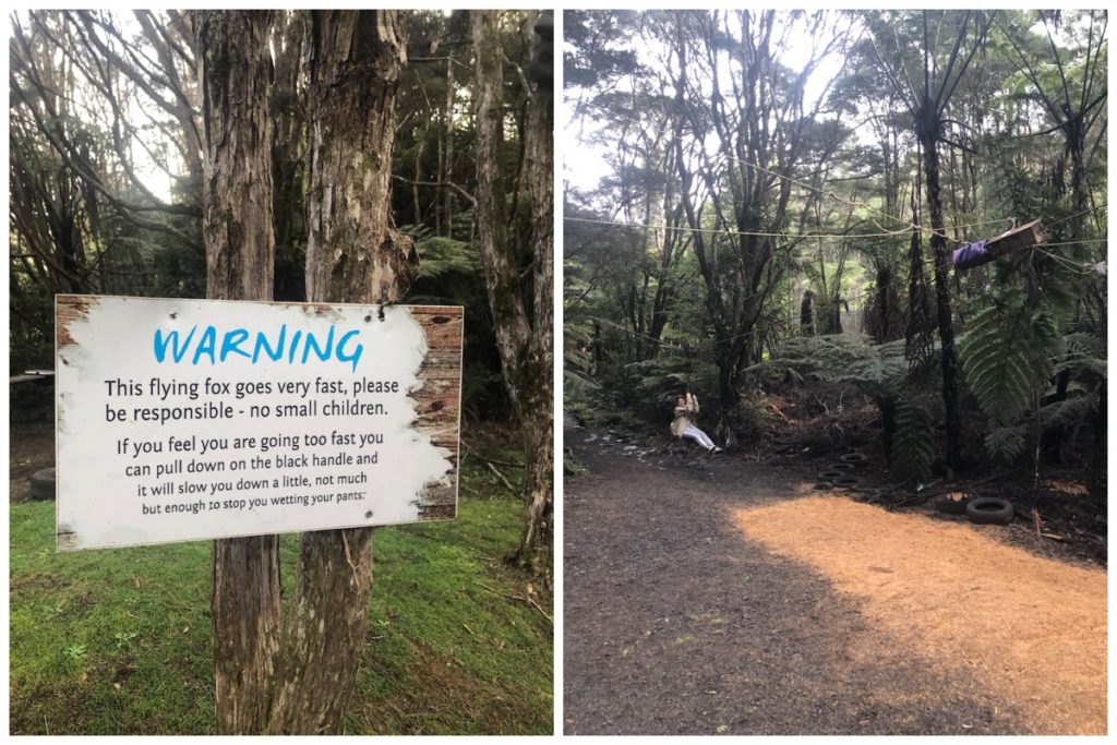 Water Works Coromandel