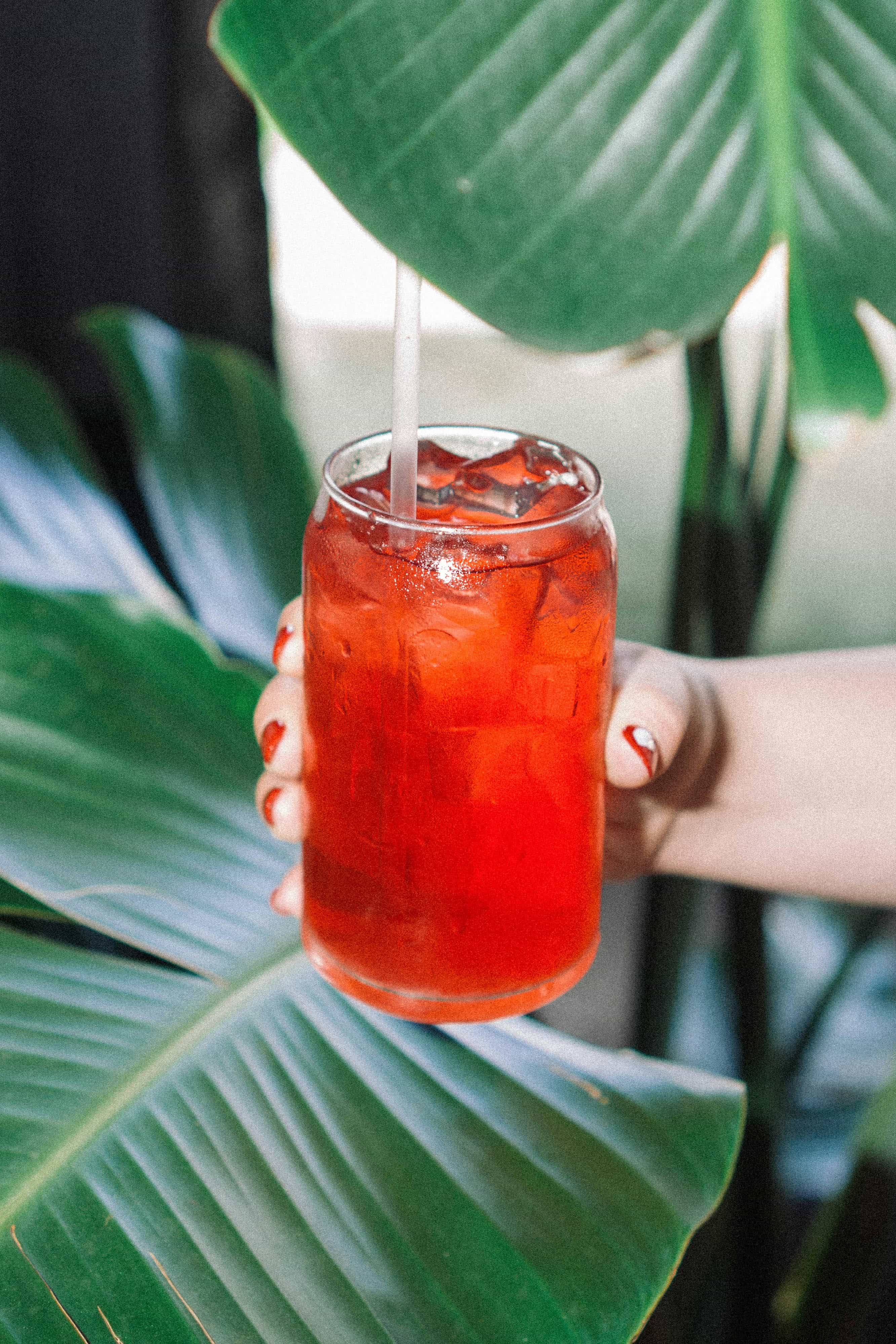 Hand holding a glass of red iced drink with a straw, surrounded by large green leaves.