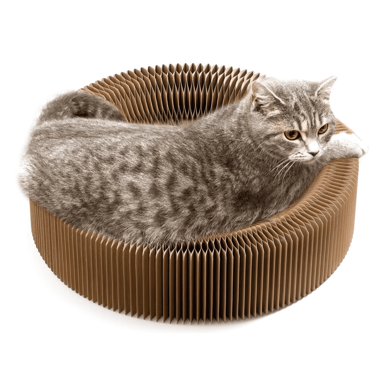 CATLK Magic Organ Cat Scratching Board,Foldable Scratching Board Cat Toy,Round Cardboard Cat Bed