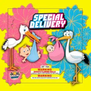 SPECIAL DELIVERY GIRL (1/6) - Super Show Fireworks product image