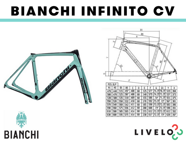 Bianchi Frame Sizes Cheap Online