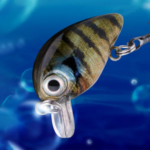 5pcs Mini Bass Fishing Lure Set 3cm Topwater Crankbait Wobblers for Pike - Blue Force Sports