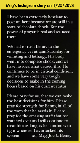 Instagram story from @staygolden.bennyboy announcing that Benny had suddenly become very ill.