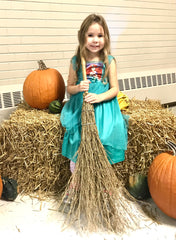 Delaney and the Broom