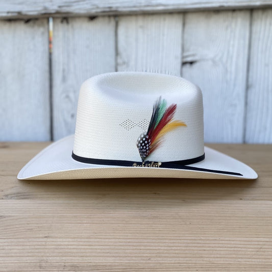 Sombrero Vaquero 50X Fantasma con Pluma Rocha Hats