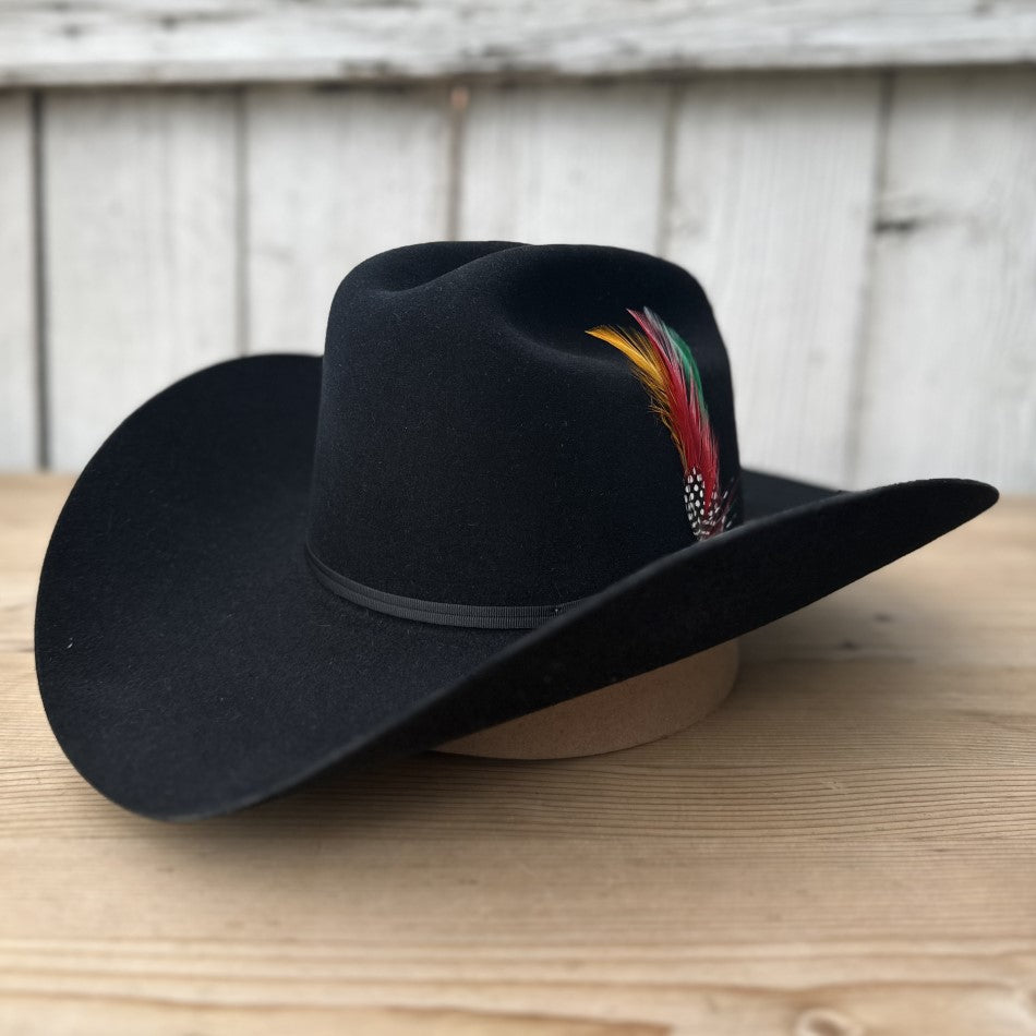 6X Rancher Black with Feather Stetson Felt Cowboy Hat