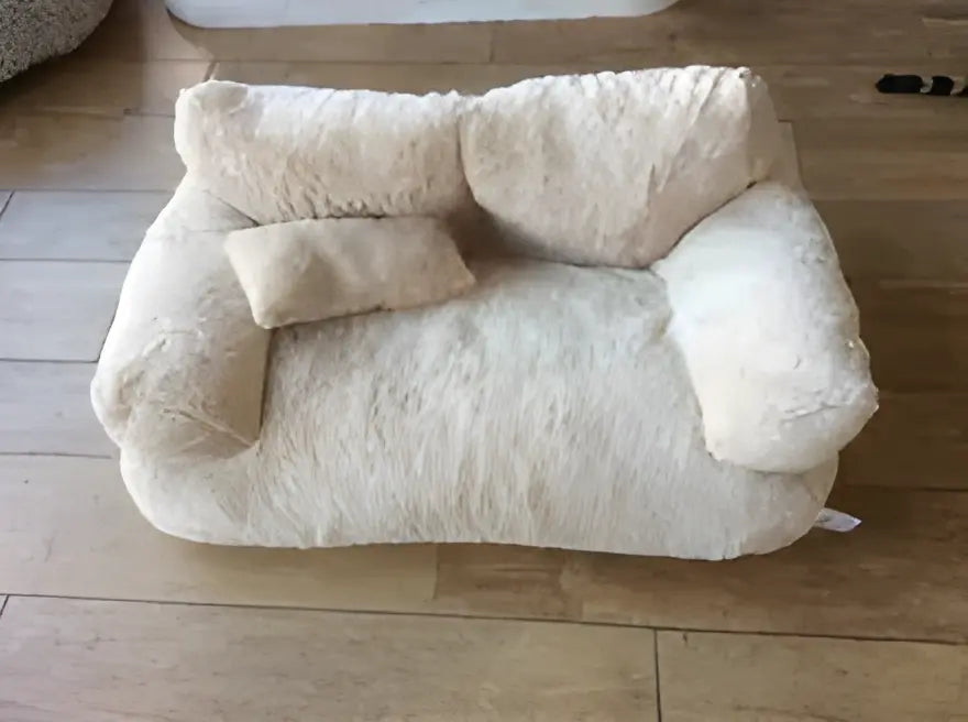 rec7.1_out.webp__PID:a0a04afd-e26d-410a-b0a8-8570dea39324