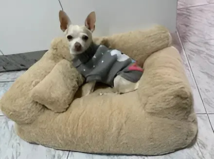 rec9_out.webp__PID:e26d710a-70a8-4570-9ea3-932498403345