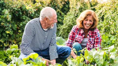 ¡Por fin es temporada de jardinería!