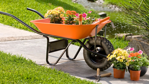 A Garden Wheelbarrow