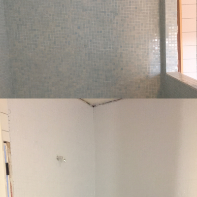 Top photo unfinished old bathrooom, bottom photo bathroom refinished using quantum paint color 1045 snow white