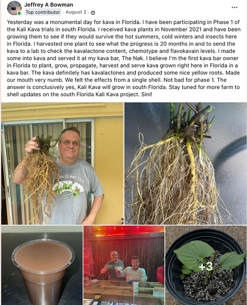 Jeffrey Bowman Holding his Kali Kava™ Plant - Serving it at The Nak Kava Bar in Boca Raton Florida