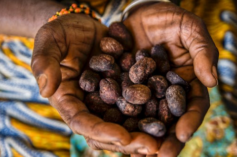 Health Benefits of Shea Butter - Butyrospermum Parkii