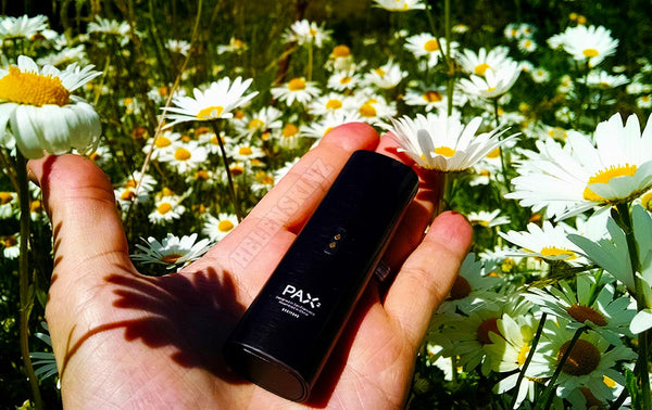 Pax 2 Vaporizer NZ