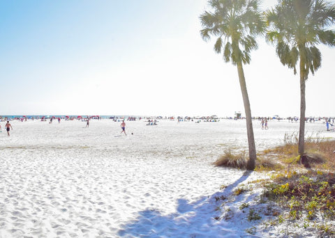 Litle Beach Sarasota Florida